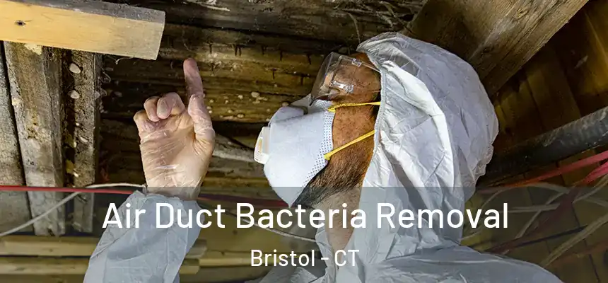  Air Duct Bacteria Removal Bristol - CT