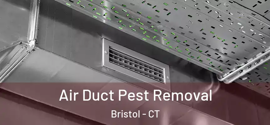  Air Duct Pest Removal Bristol - CT