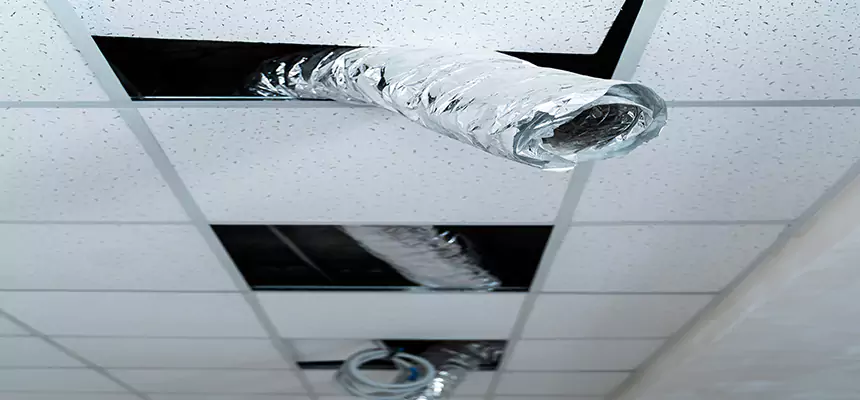 Our Air Duct Pet Hair Removal Services in Bristol, CT