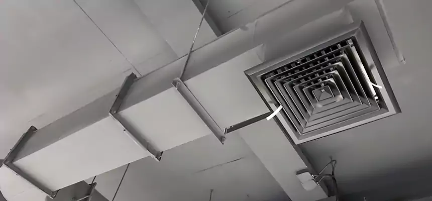 Our Pest Removal From Ducts Services in Bristol, CT