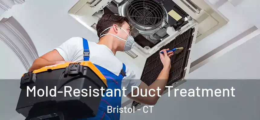  Mold-Resistant Duct Treatment Bristol - CT