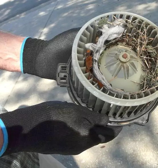 About Air Duct Mice Removal in Bristol, CT