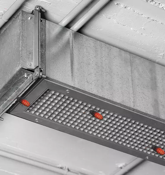 Affordable Insect Removal from Air Ducts in Bristol, CT