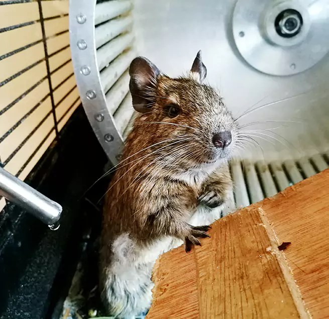 Why Homeowners & Businesses Trust Us Bristol, CT